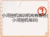小河挖机培训机构有哪些(小河挖机培训)