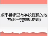 顺平县哪里有学挖掘机的地方(顺平挖掘机培训)