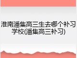 淮南潘集高三生去哪个补习学校(潘集高三补习)