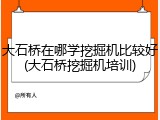 大石桥在哪学挖掘机比较好(大石桥挖掘机培训)
