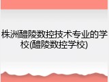 株洲醴陵数控技术专业的学校(醴陵数控学校)