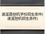 遂溪县挖机学校招生条件(遂溪挖机招生条件)