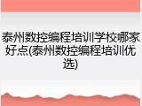泰州数控编程培训学校哪家好点(泰州数控编程培训优选)