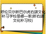 呼伦贝尔新巴尔虎右旗文化补习学校是哪一家(新右旗文化补习校)