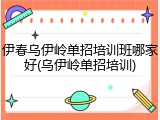 伊春乌伊岭单招培训班哪家好(乌伊岭单招培训)