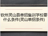 钦州灵山县单招集训学校要什么条件(灵山单招条件)