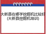 大新县在哪学挖掘机比较好(大新县挖掘机培训)