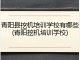 青阳县挖机培训学校有哪些(青阳挖机培训学校)