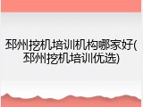 邳州挖机培训机构哪家好(邳州挖机培训优选)