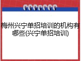 梅州兴宁单招培训的机构有哪些(兴宁单招培训)