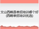 文山西畴县单招培训哪个好(西畴单招培训优选)