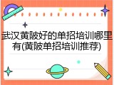 武汉黄陂好的单招培训哪里有(黄陂单招培训推荐)