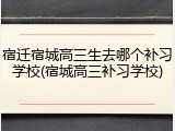宿迁宿城高三生去哪个补习学校(宿城高三补习学校)