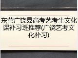 东营广饶县高考艺考生文化课补习班推荐(广饶艺考文化补习)