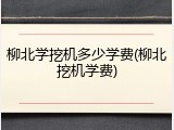 柳北学挖机多少学费(柳北挖机学费)