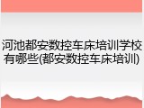 河池都安数控车床培训学校有哪些(都安数控车床培训)