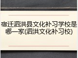 宿迁泗洪县文化补习学校是哪一家(泗洪文化补习校)