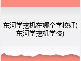 东河学挖机在哪个学校好(东河学挖机学校)