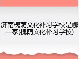 济南槐荫文化补习学校是哪一家(槐荫文化补习学校)