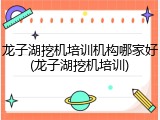 龙子湖挖机培训机构哪家好(龙子湖挖机培训)