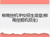 柳南挖机学校招生简章(柳南挖掘机招生)
