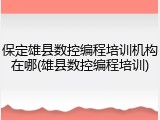 保定雄县数控编程培训机构在哪(雄县数控编程培训)