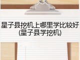 星子县挖机上哪里学比较好(星子县学挖机)