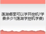 莲湖哪里可以学开挖机?学费多少?(莲湖学挖机学费)
