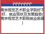 南京视觉艺术职业学院好不好，就业现状及发展趋势(南京视觉艺术职院就业前景)