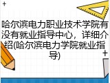 哈尔滨电力职业技术学院有没有就业指导中心，详细介绍(哈尔滨电力学院就业指导)