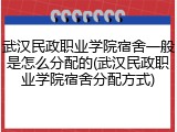 武汉民政职业学院宿舍一般是怎么分配的(武汉民政职业学院宿舍分配方式)