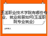 玉溪职业技术学院有哪些专业，就业前景如何(玉溪职院专业就业)