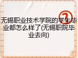 无锡职业技术学院的学生毕业都怎么样了(无锡职院毕业去向)
