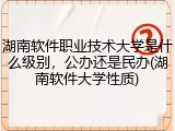 湖南软件职业技术大学是什么级别，公办还是民办(湖南软件大学性质)