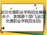 武汉交通职业学院招生编码多少，隶属哪个部门(武汉交通职业学院招生码)