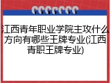 江西青年职业学院主攻什么方向有哪些王牌专业(江西青职王牌专业)
