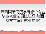 陕西国际商贸学院哪个专业毕业就业前景比较好(陕西商贸学院好就业专业)