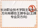 长治职业技术学院主攻什么方向有哪些王牌专业(王牌专业及方向)