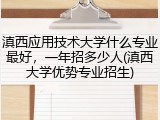 滇西应用技术大学什么专业最好，一年招多少人(滇西大学优势专业招生)