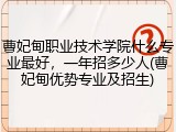 曹妃甸职业技术学院什么专业最好，一年招多少人(曹妃甸优势专业及招生)