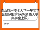 滇西应用技术大学一年奖学金最多能拿多少(滇西大学奖学金上限)