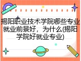 揭阳职业技术学院哪些专业就业前景好,为什么(揭阳学院好就业专业)