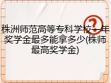 株洲师范高等专科学校一年奖学金最多能拿多少(株师最高奖学金)