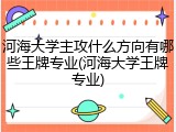 河海大学主攻什么方向有哪些王牌专业(河海大学王牌专业)