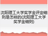 沈阳理工大学奖学金评定细则是怎样的(沈阳理工大学奖学金细则)