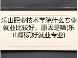 乐山职业技术学院什么专业就业比较好，原因是啥(乐山职院好就业专业)