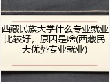 西藏民族大学什么专业就业比较好，原因是啥(西藏民大优势专业就业)
