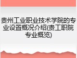 贵州工业职业技术学院的专业设置概况介绍(贵工职院专业概览)