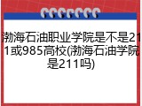 渤海石油职业学院是不是211或985高校(渤海石油学院是211吗)