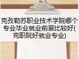 克孜勒苏职业技术学院哪个专业毕业就业前景比较好(克职院好就业专业)